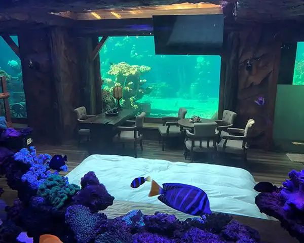 上一条 海底餐厅 下一条