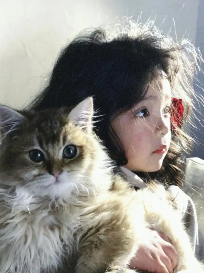 玫瑰女孩和小猫喵喵  真是让人感到温馨又可爱!