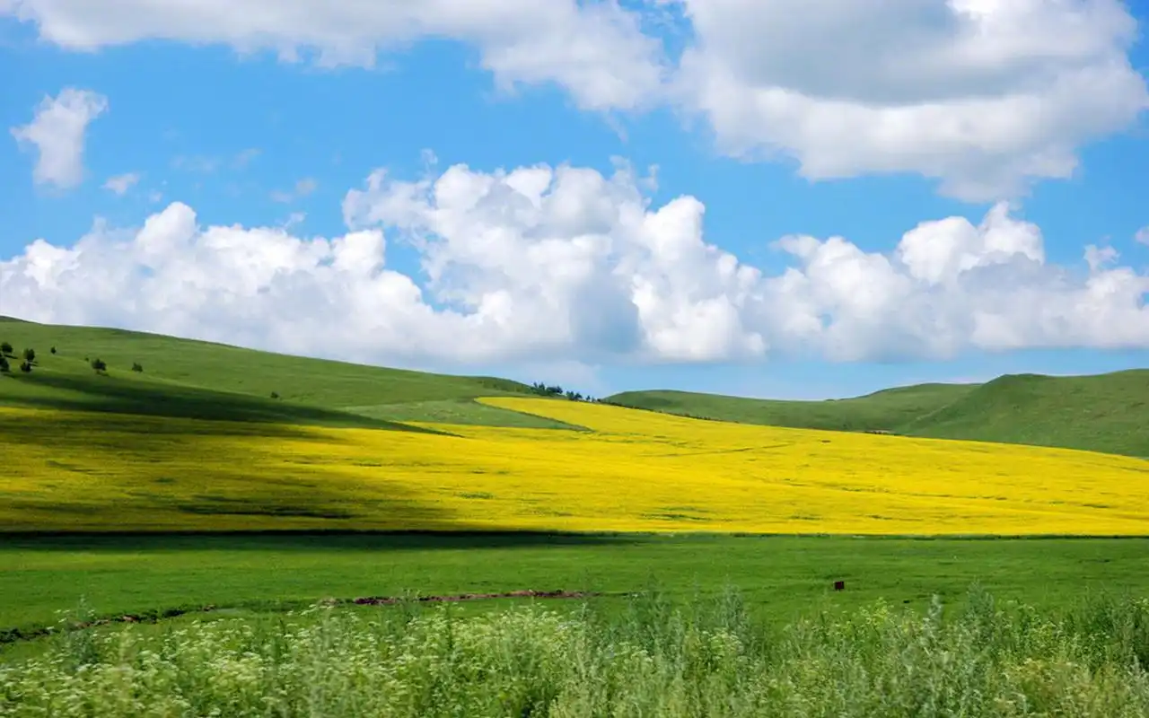 大自然清新美景图片桌面壁纸