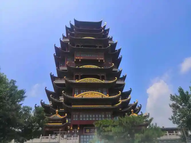 我爱美丽的大滨州(二)黄河楼 - 海报新闻