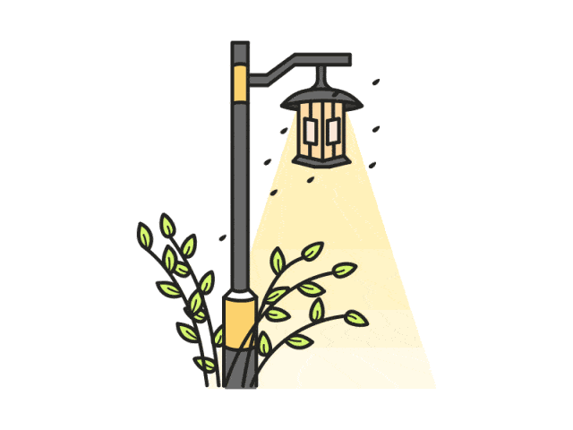 【三强攻坚】长丰这里晚上路灯变得更亮了,看看咋回事……_县城