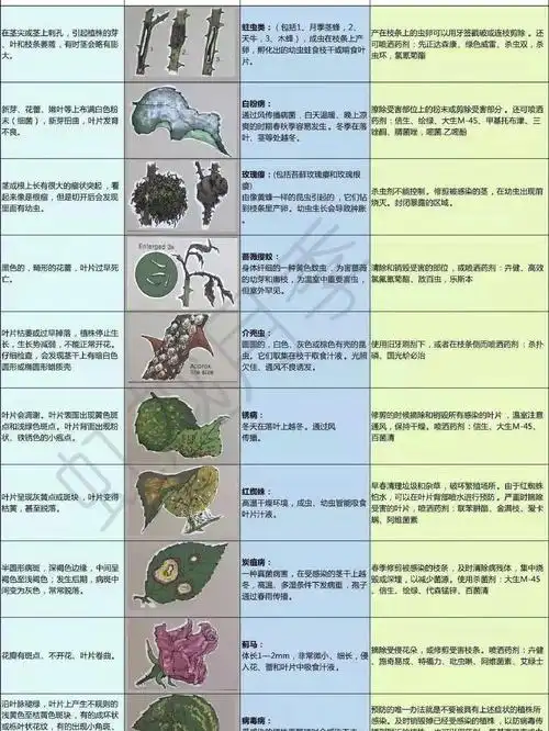 病虫害图解