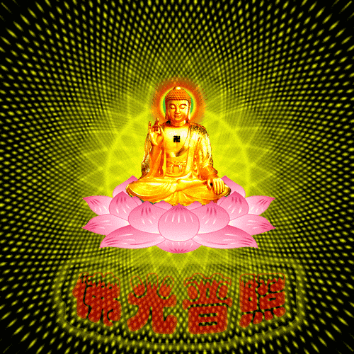 500_500gif 动态图 动图