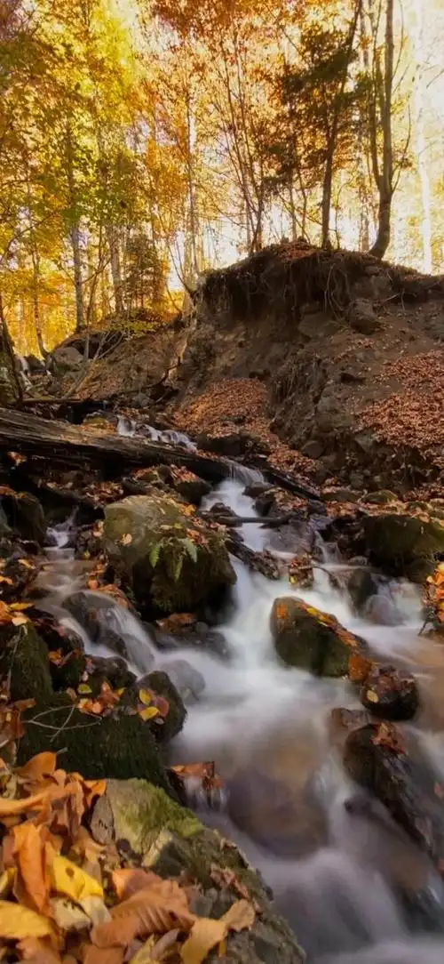 美景壁纸,将人们的情感与自然风光相结合,形成了一幅幅让人陶醉的美丽