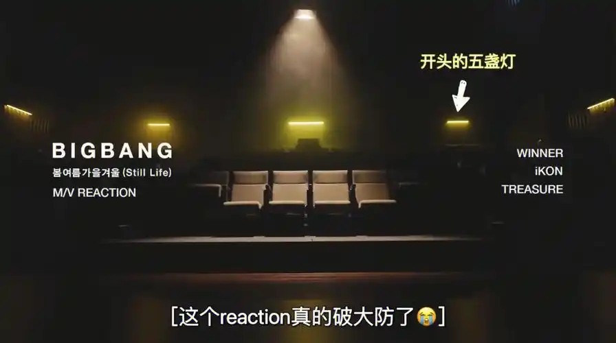 家人们看这个reaction了嘛
