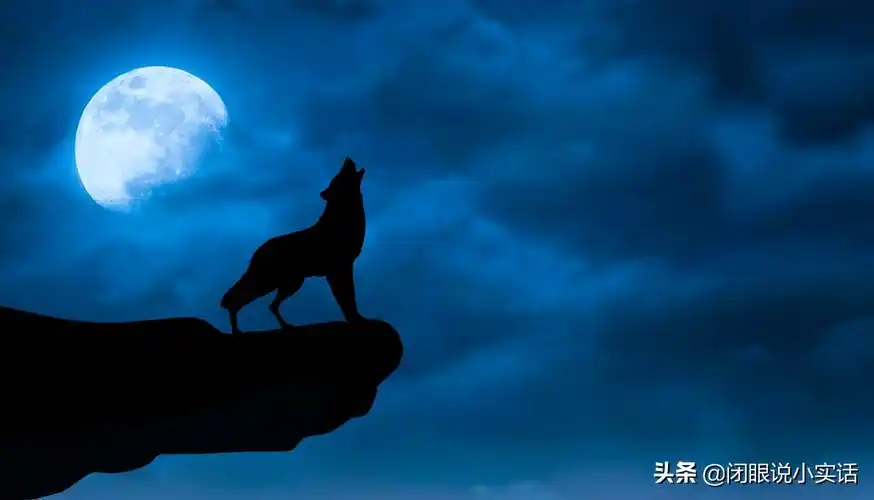 传说造物主在创造世界的时候,亲手制造了四个狼兄弟:蓝狼,黑狼,白狼和