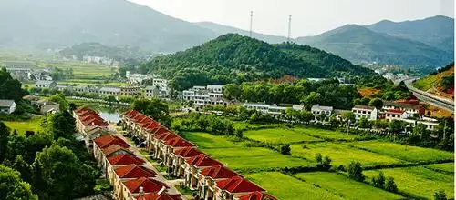 中国最富的村庄, 奔驰宝马都是买菜专用车|南山|村庄|南山大佛_新浪