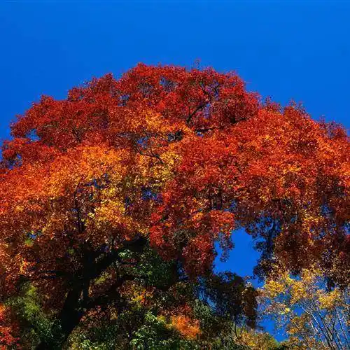 大自然的美干净治愈山水风景微信头像图片2022最新款_豪情_导读_整理