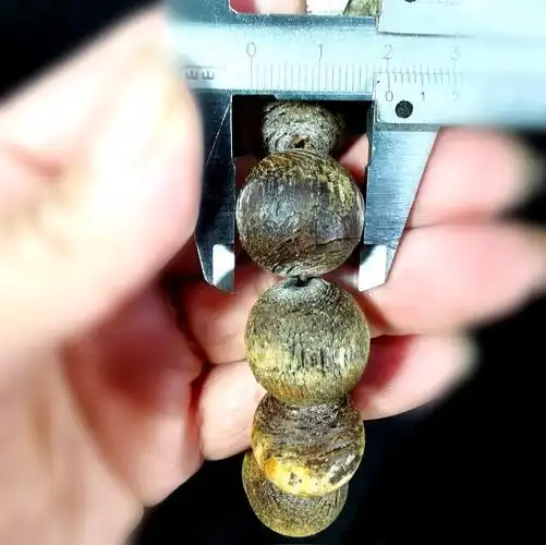 佚名 披毛犀角圆珠手串