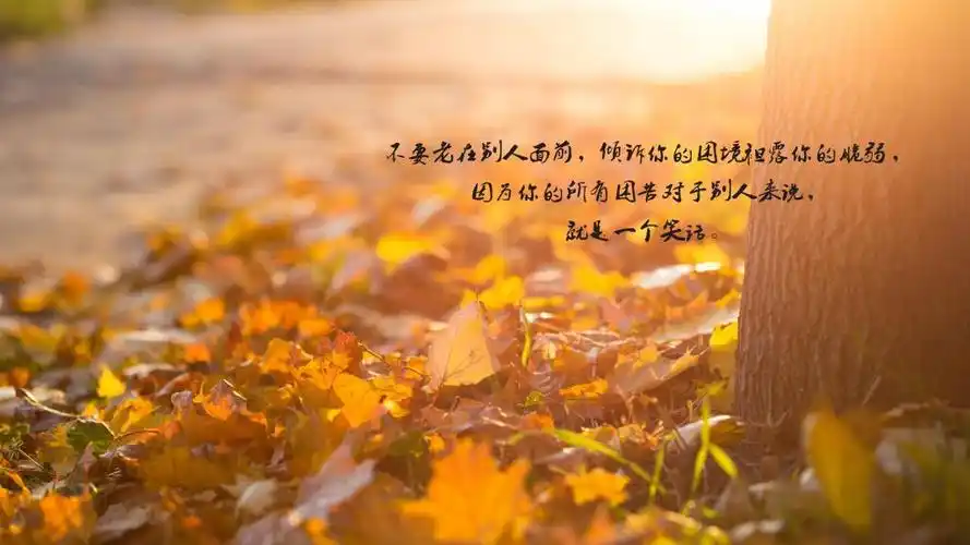 对现实生活失望的说说图片