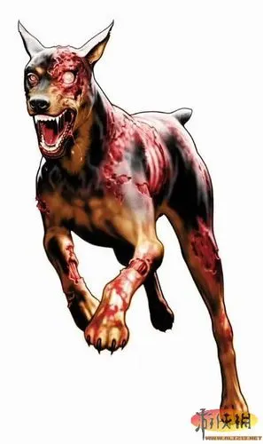 狗在现实生活中是最佳的宠物选择之一,在游戏中也不例外.