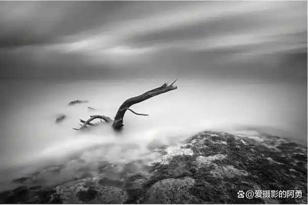 黑白摄影是摄影的经典形式之一,它通过去色彩突出了光影和构图的重要