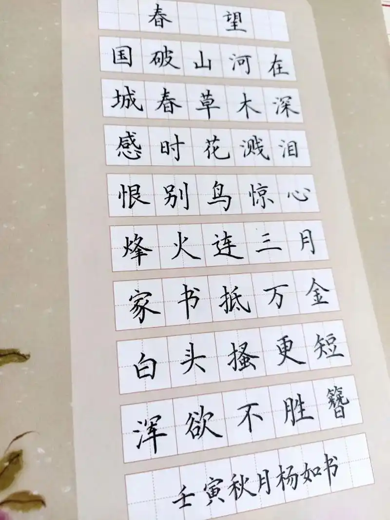 五言古诗《春望》 #《春望》,恨别鸟惊心