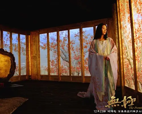 中国,影视,张柏芝,电影,影视,谢霆锋,无极,陈红,张东健,刘烨,一个馒头