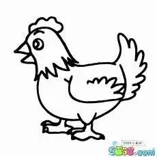 鸡的简笔画图片画大公鸡步骤图片小鸟鸡的简笔画