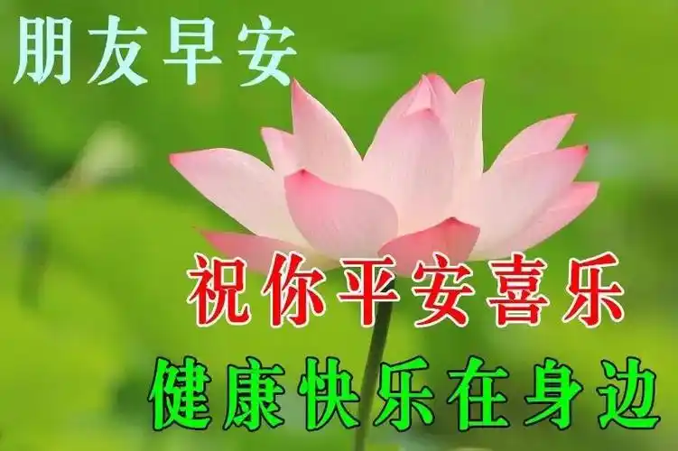 原创2021年5月23日星期天早上好问候语图片 周日最新早安问候祝福图片