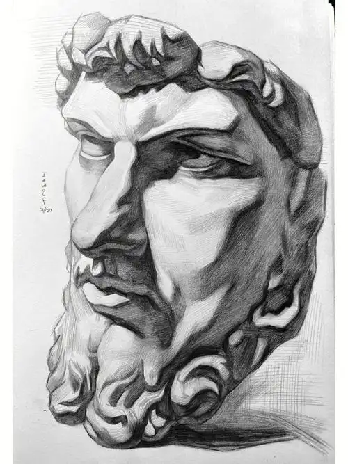 素描造型习作展示亚历山大石膏像