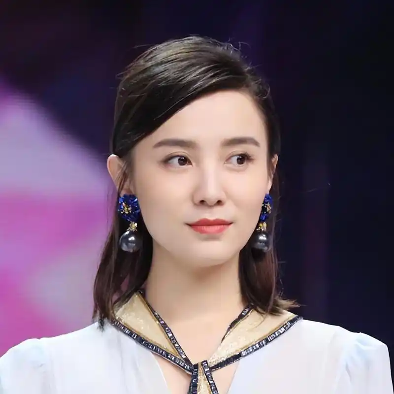 回顾小宋佳:恋上有妇之夫张黎,分手后换新男友,如今42岁仍未婚