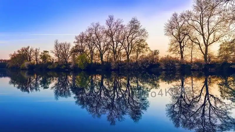 森林湖8k壁纸图片下载