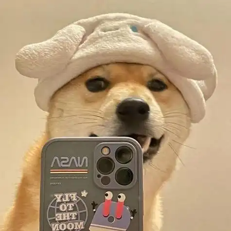 狗头头像五人(狗头头像三人组) - 搞笑个性头像 - 艾伊特头像站 - www