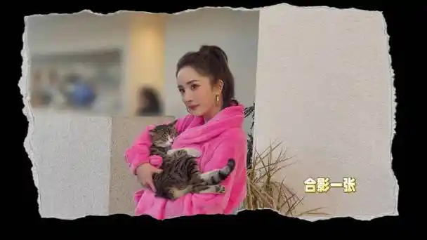 一时不知道该羡慕谁05@杨幂杨幂工作室的微博视频