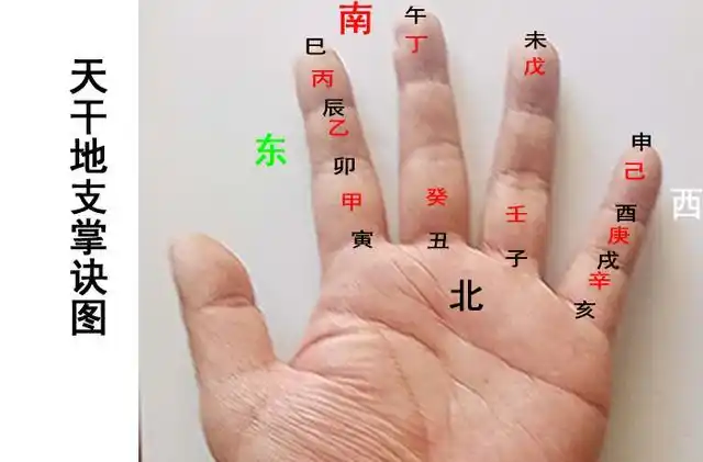 十天干之间的相互关系集十天干手掌诀