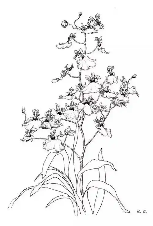 对于吴秦昌说,"心动"是选择写生对象的标准.