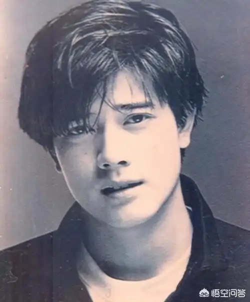 香港四大天王混的最差的是谁?(向往的生活之娱乐天王免费全本)