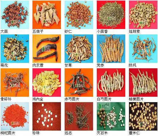 如何分辨常见的中药药材 - 白前草 - 新洲白前草