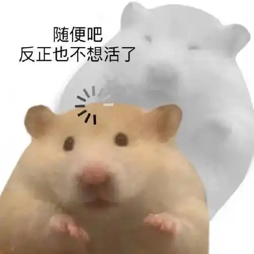 我的一天 如『搞笑实用表情包』所示_(:з)∠)__cr_网络_生活