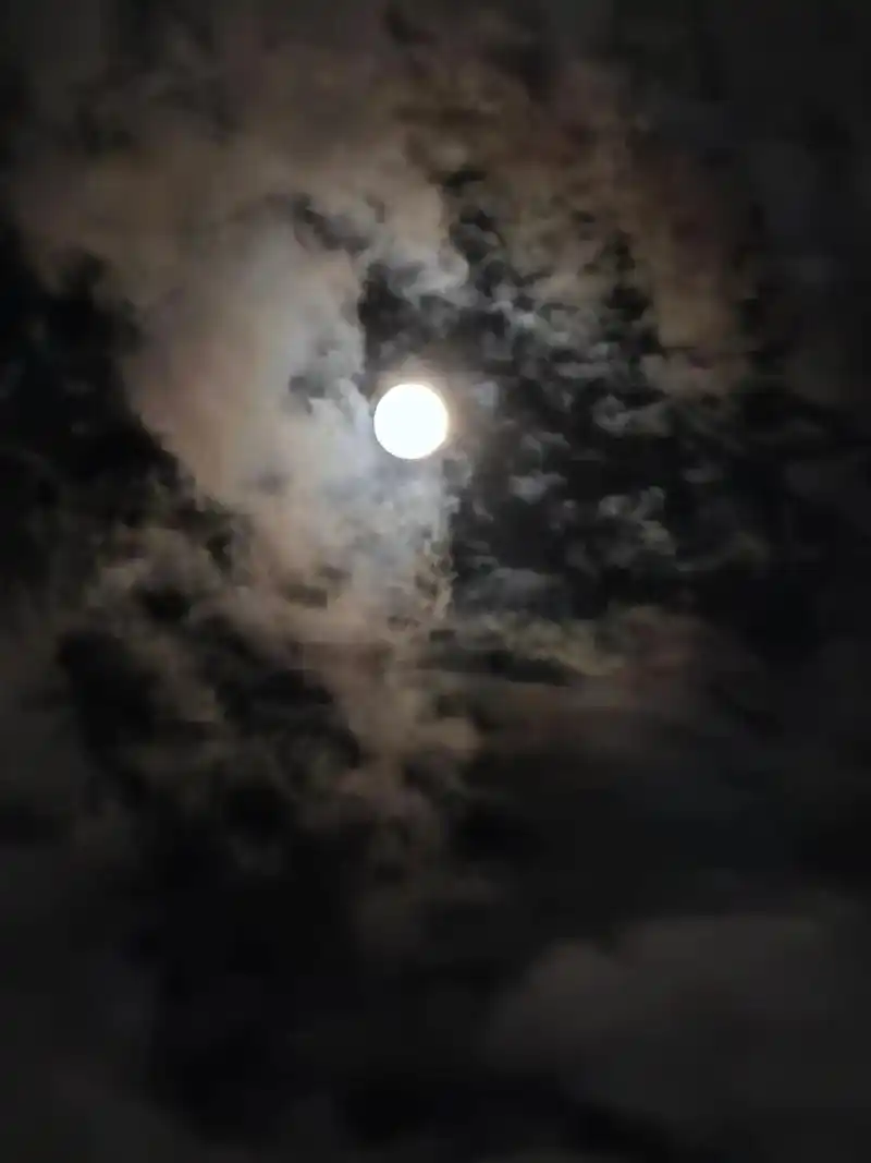 我本将心向明月,奈何明月照沟渠;明月别枝惊鹊,清风半夜鸣蝉;秦时明月