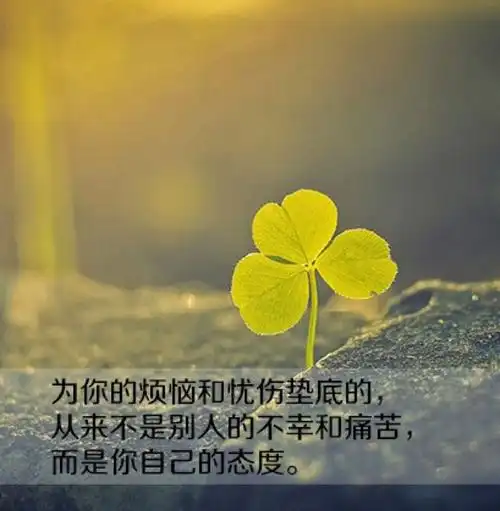 年华虚度唯美意境带字图片唯美图片