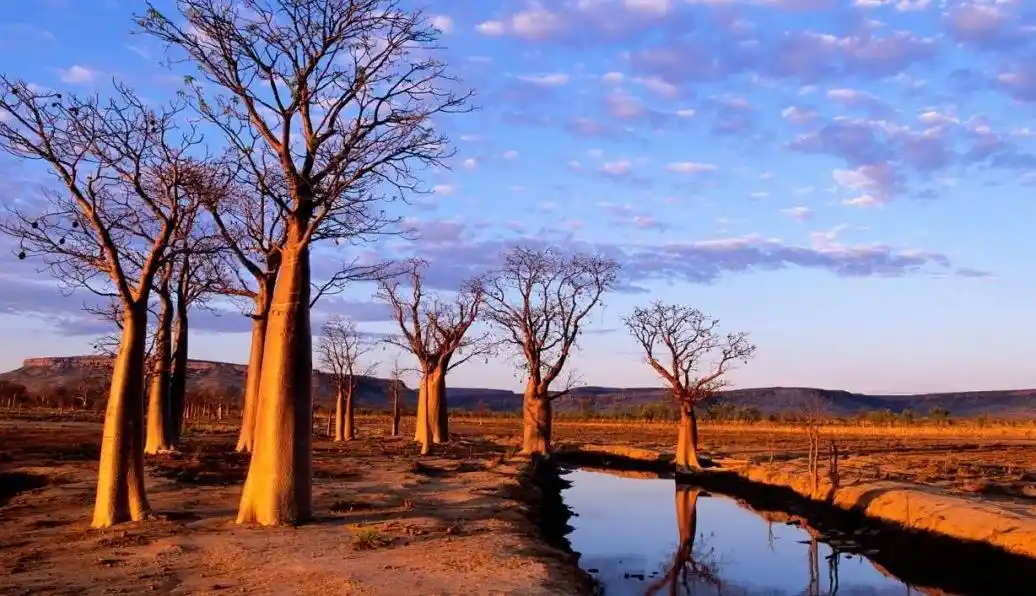 100幅世界顶级摄影师的精美作品