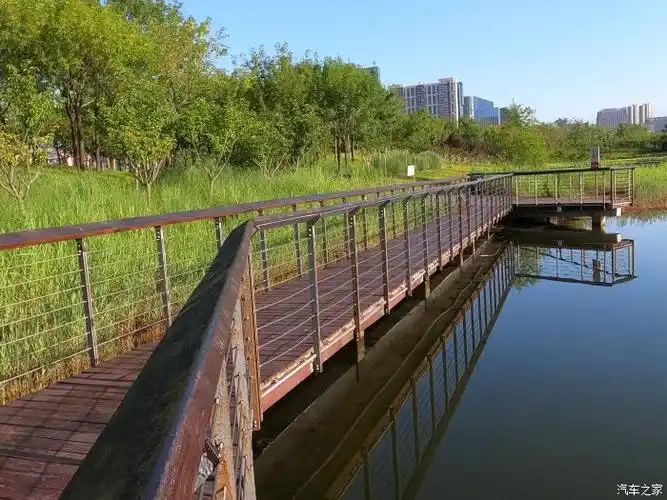 发帖我最多游览青岛西海岸新区城市阳台亲水木栈道13