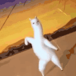 《抖音》沙雕羊驼表情包分享