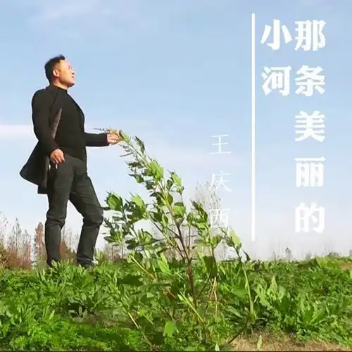 是梦里的影;是童年嬉戏的小河,是河边荡秋千的垂柳;是小村半夜的狗吠