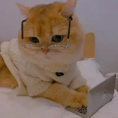 全网最火猫咪头像50张_动物头像_头像屋