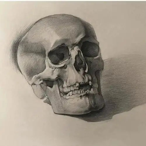 想要画好素描,石膏头像不能忽视,先来组精彩石膏作品鉴赏