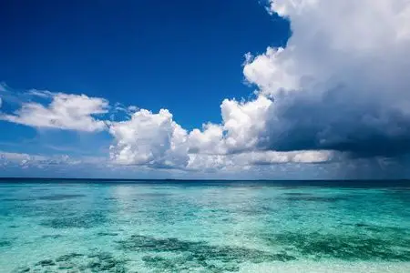 蒙古西部乌吉附近的水流美丽的风景全景101茶园在明亮的天蓝天背景