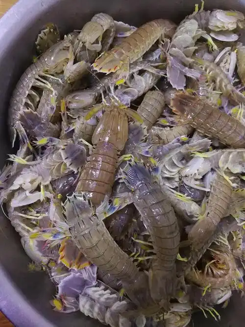 10月9日,今天吃皮皮虾