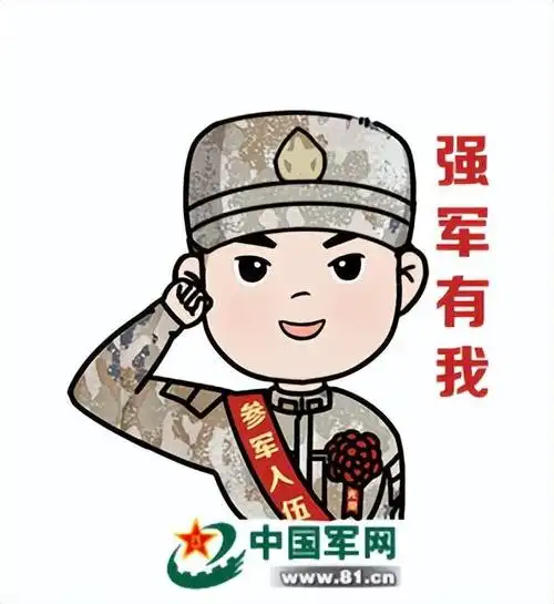 (资料来源:中国民兵,人民陆军,央广军事,一号哨位,美丽华坪等)