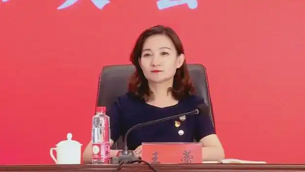 甘肃新上任的女县委书记|安徽省委常委_网易订阅
