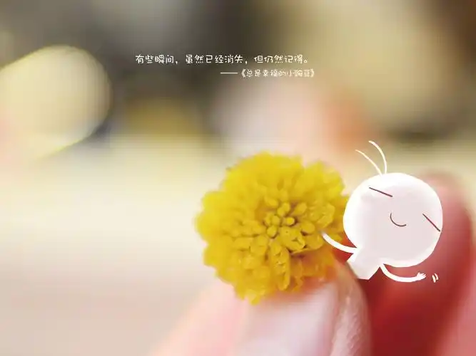 小豌豆,总是幸福的小豌豆,可爱,萌,花朵,手,文字,1213,卡通小豌豆壁纸