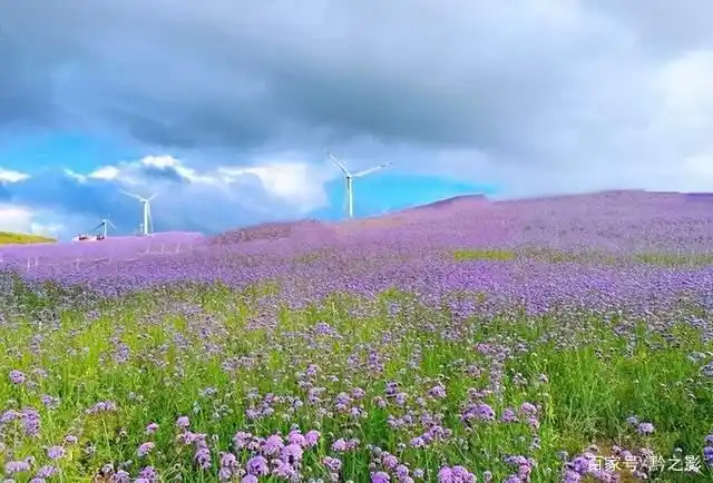 高坡苗乡云顶草原:贵阳版的草原天路,最适合露营的地方