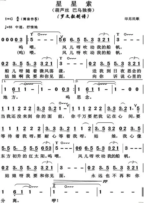 星星索(葫芦丝 巴乌独奏印尼民歌)