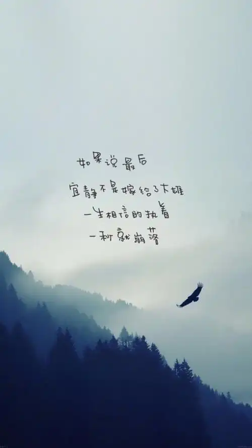 爱情唯美文字语录图片:爱情需要冷静,文字,高清,爱情,精选,心情,文字