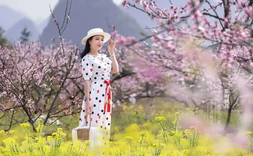 女人如花,花开优雅