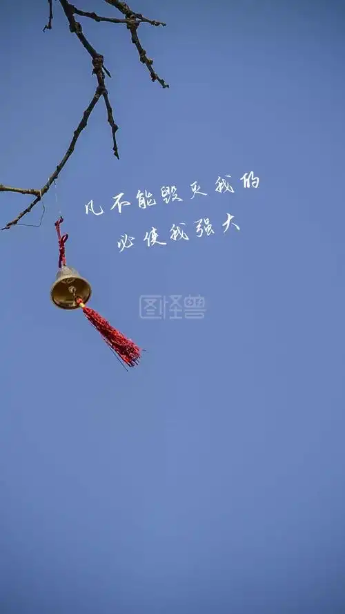 凡不能毁灭我的 必使我强大 文艺摄影图手机壁纸