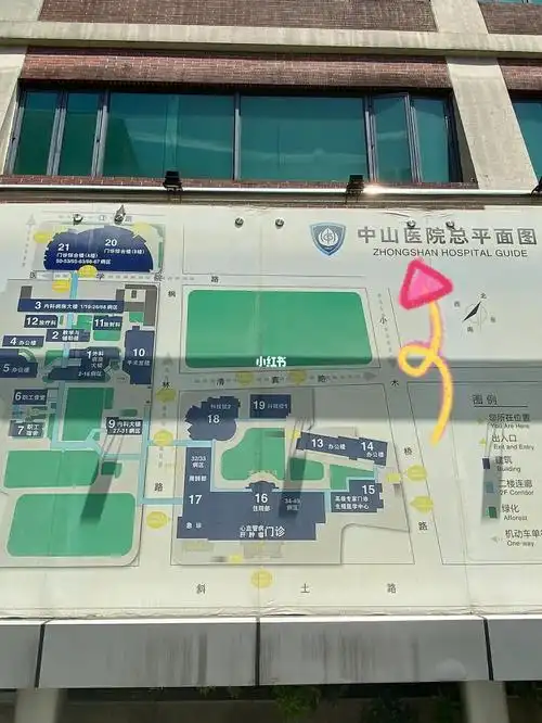 中山医院是不是上海规模最大的医院呢