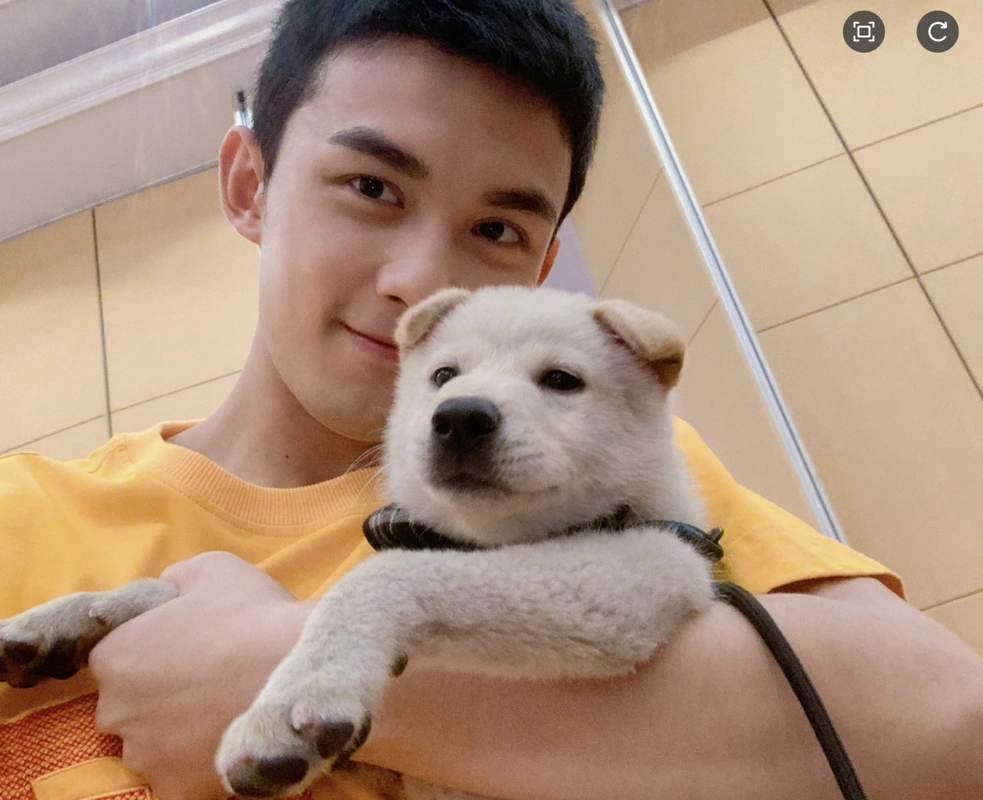 吴磊代言"红狗主粮":更适合城市犬猫